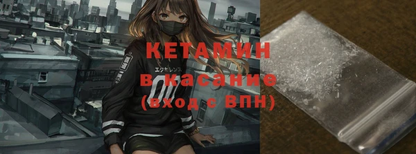 стаф Тавда