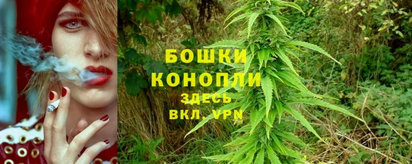 spice Тайга