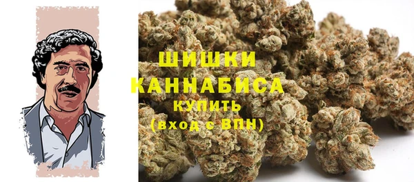 стаф Тавда
