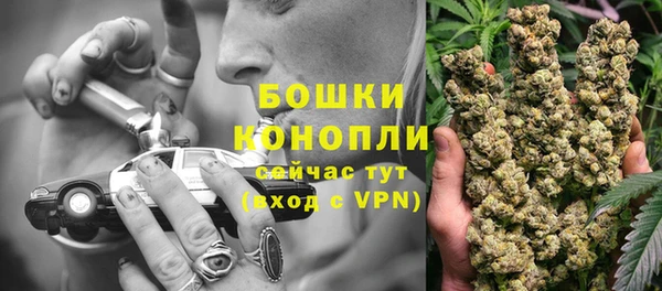 стаф Тавда