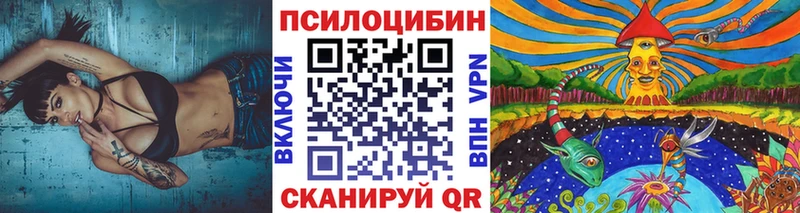 blacksprut ссылка  Юрюзань  Галлюциногенные грибы мицелий 